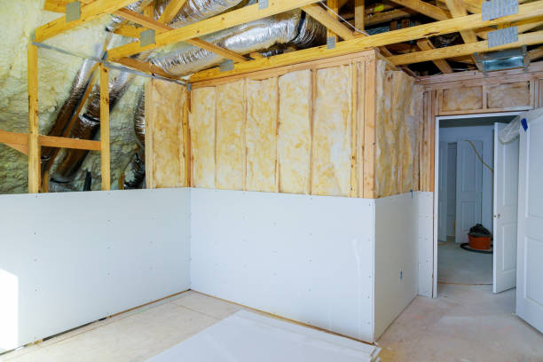 Best Insulation Installation Services in Colorado City, AZ