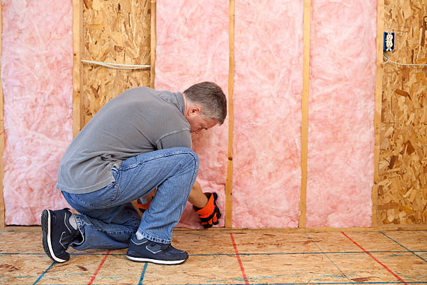 Best Commercial Insulation in Colorado City, AZ