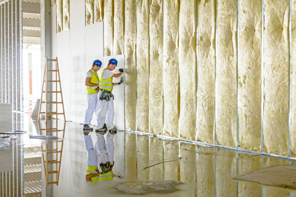 Best Insulation for Specific Applications in Colorado City, AZ